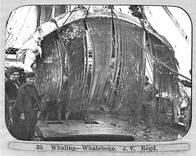 Is Makeup Made Out Of Whale Blubber Saubhaya Makeup